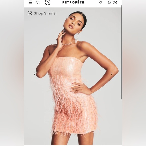 Retrofete Dresses & Skirts - Retrofete Anastasia Feathered Mini Dress